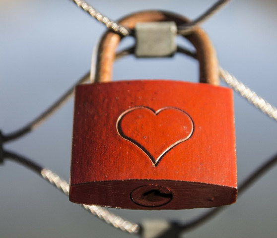 MBIE’s Consumer Protection is advising those looking for love online to be watchful for scams, both on dating apps and online.
